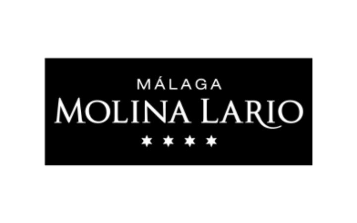 Hotel Málaga Molina Lario